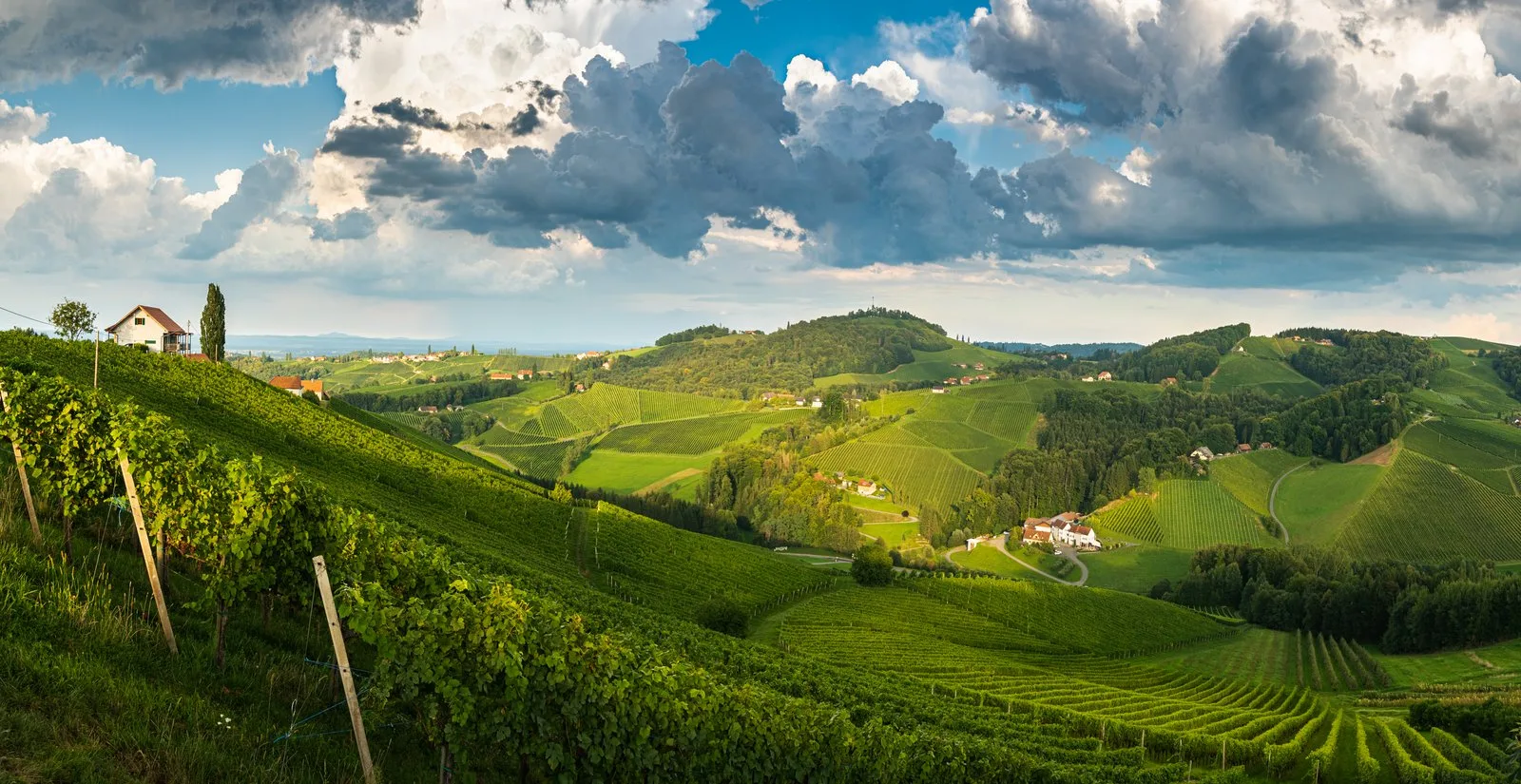 Les collines et vignobles des Langhe dans le Piémont italien