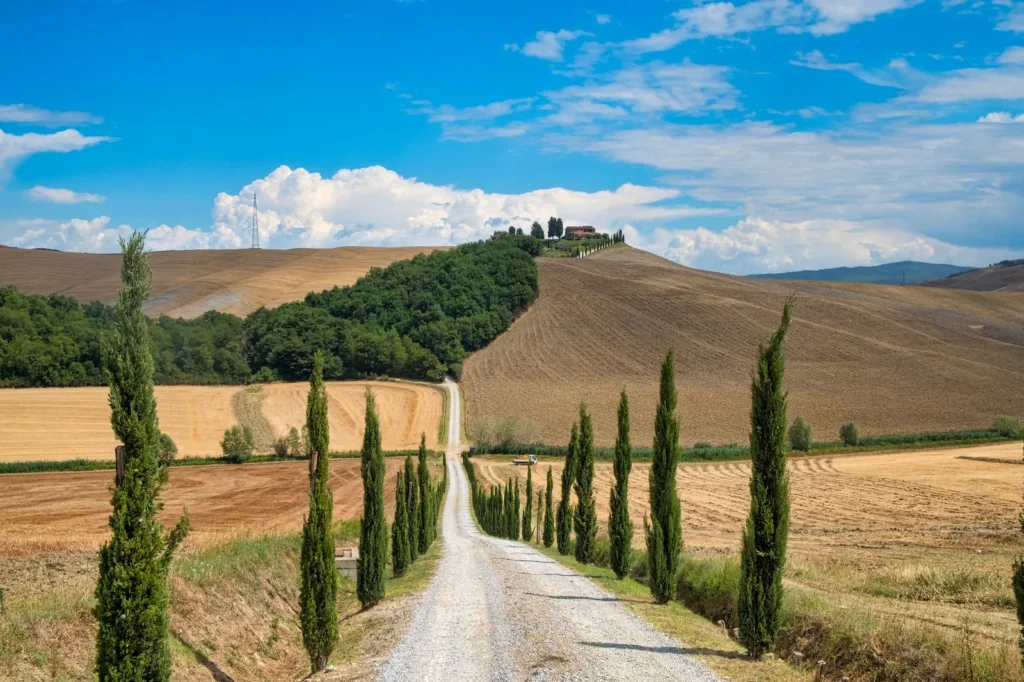 Route bordée de cyprès dans le Val d'Orcia en Toscane